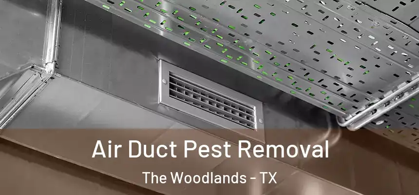 Air Duct Pest Removal The Woodlands - TX