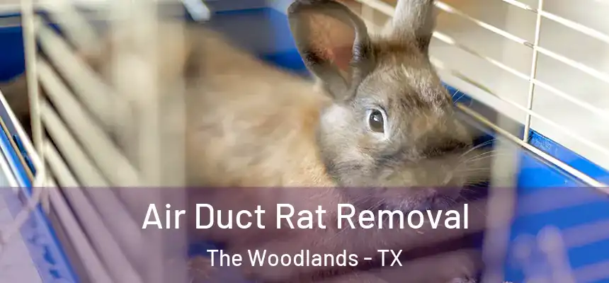 Air Duct Rat Removal The Woodlands - TX