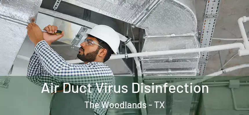 Air Duct Virus Disinfection The Woodlands - TX