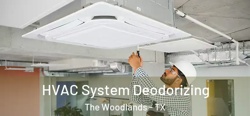 HVAC System Deodorizing The Woodlands - TX