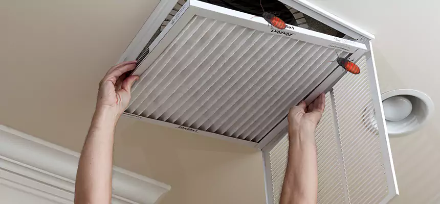 Preventive Cockroach-Proofing for Ducts in The Woodlands
