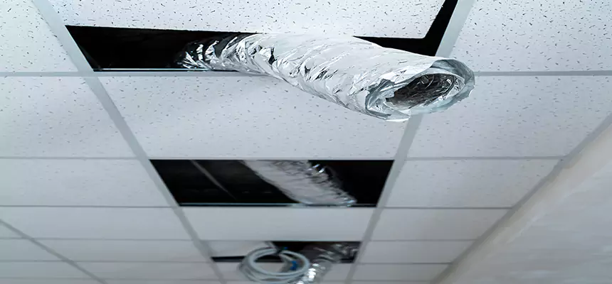 Affordable HVAC Sanitizing After Pest Removal in The Woodlands