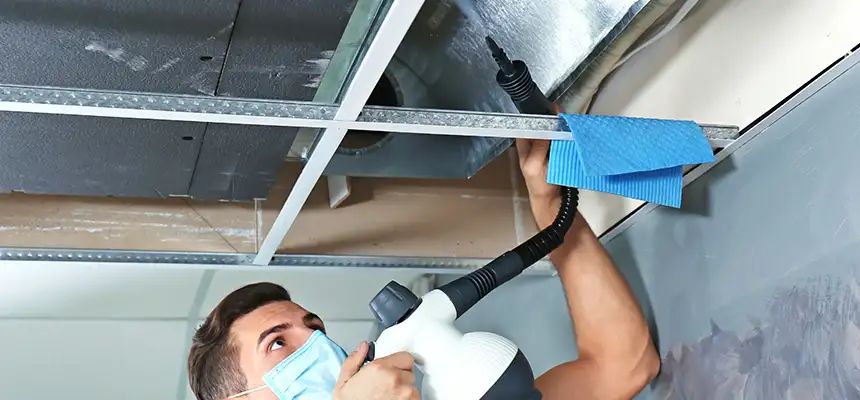 Our Air Duct Rodent Removal Services in The Woodlands, TX