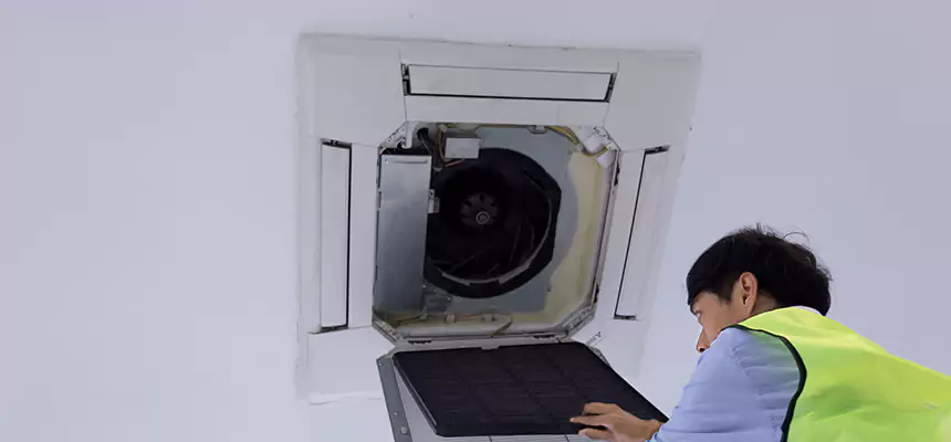 Our Dryer Vent Sanitization Service Services in The Woodlands, TX