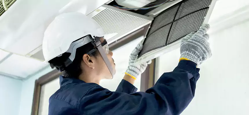 Our Mold & Mildew Removal from Air Ducts Services in The Woodlands, TX