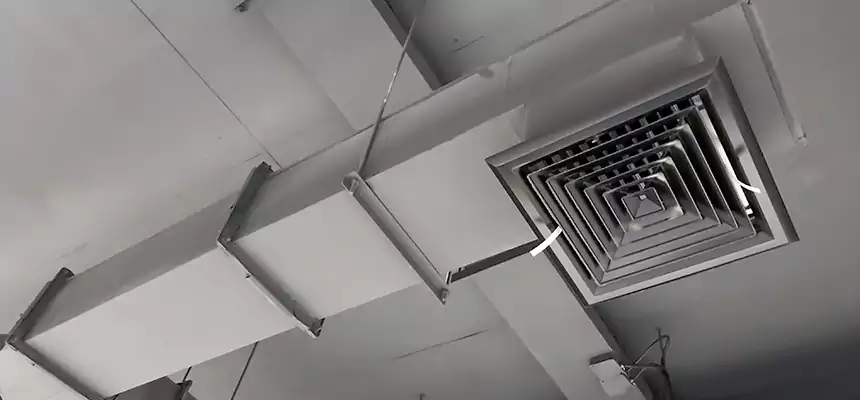 Our Rodent Droppings In Vents Services in The Woodlands, TX