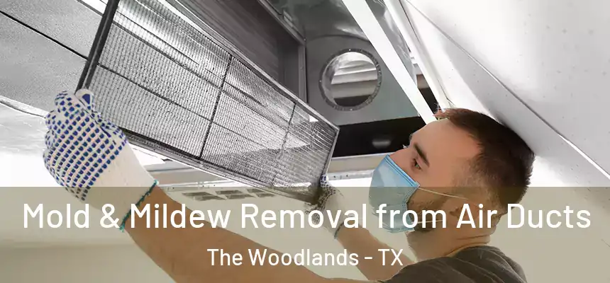 Mold & Mildew Removal from Air Ducts The Woodlands - TX