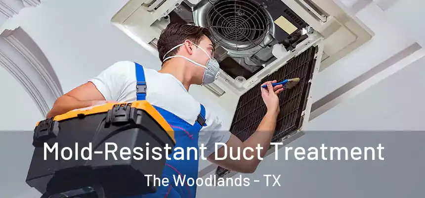 Mold-Resistant Duct Treatment The Woodlands - TX