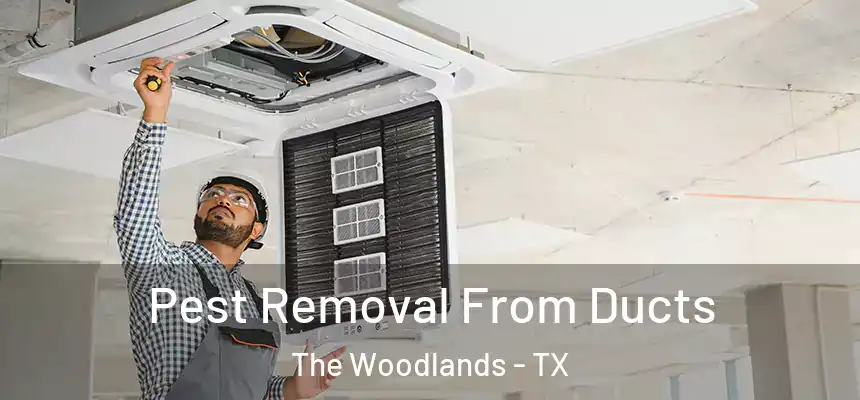 Pest Removal From Ducts The Woodlands - TX