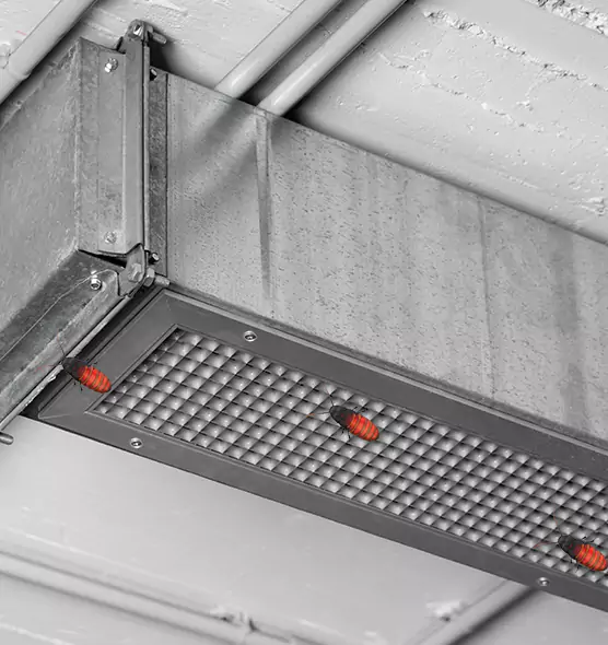 About Air Duct Cockroach Removal in The Woodlands, TX