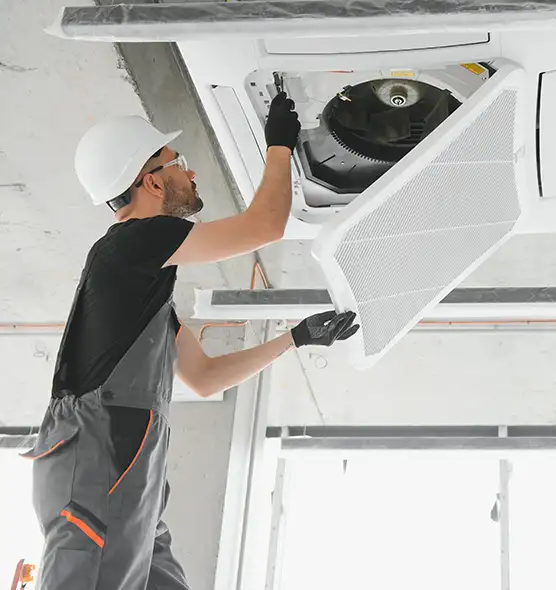 About Air Duct Rodent Removal in The Woodlands, TX