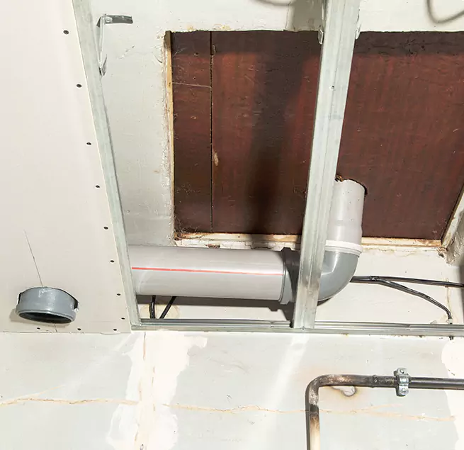 Why Homeowners & Businesses Trust Us in The Woodlands, TX?