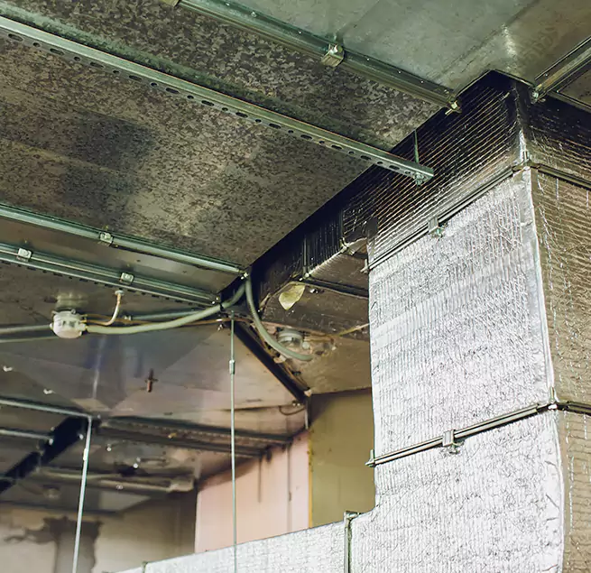 Why Homeowners & Businesses Trust Us in The Woodlands, TX?